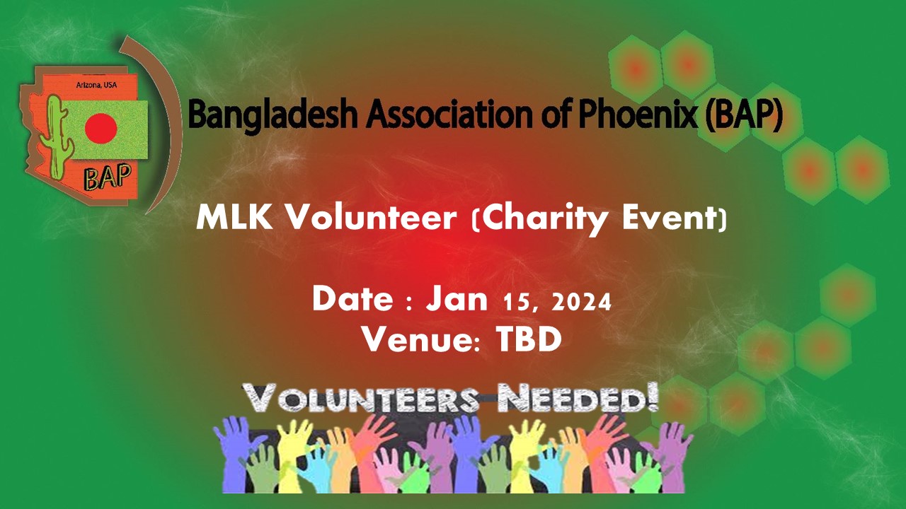 MLK Volunteering Event 2024